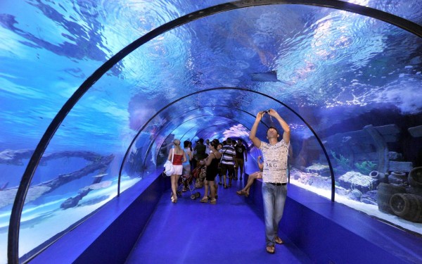 Antalya Aquarium Tour