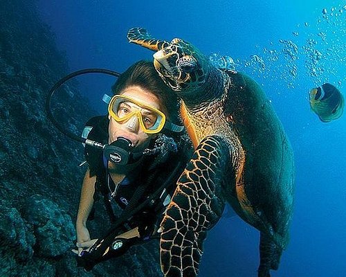 Scuba Diving From Kemer