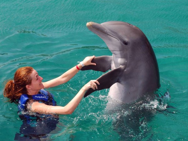 Swimming With Dolphin From Belek